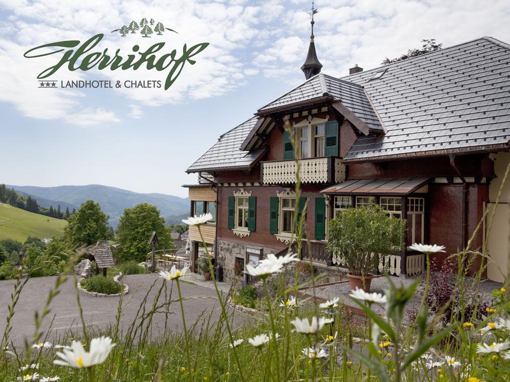 Hotel & Chalets Herrihof ทอดด์เนาแบร์ก ภายนอก รูปภาพ