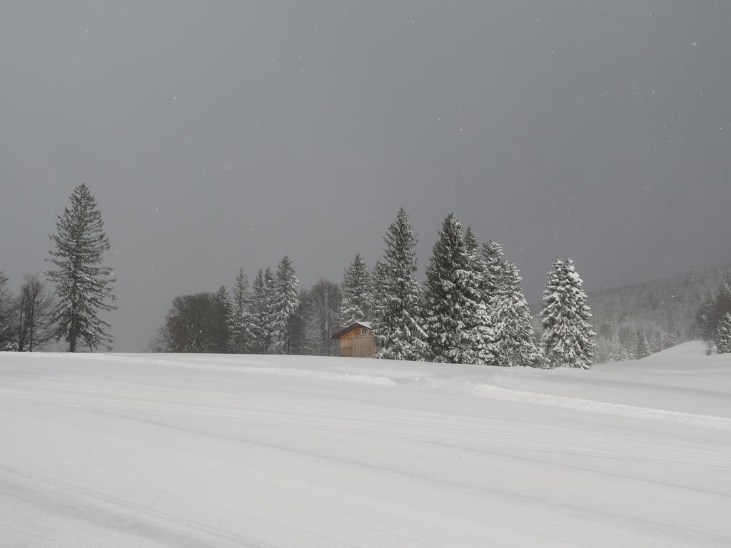 Hotel & Chalets Herrihof ทอดด์เนาแบร์ก ภายนอก รูปภาพ