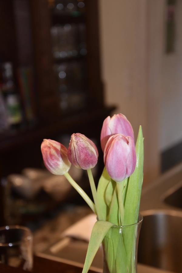 Hotel & Chalets Herrihof ทอดด์เนาแบร์ก ภายนอก รูปภาพ